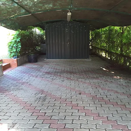 Rogio Джеремеас