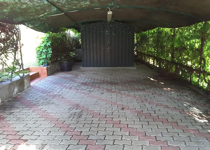 Rogio Джеремеас